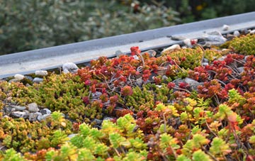 the cost of Walnut Grove green roof installation