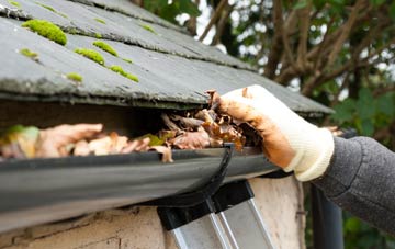 gutter cleaning Walnut Grove, Perth And Kinross