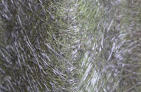 Walnut Grove fibreglass roof work